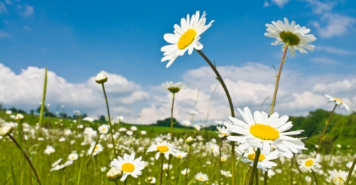 Counseling Services for Couples, Families, Children, Teens